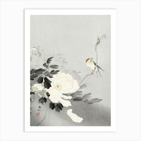 Swallow With Peony (1900 1930), Ohara Koson Art Print