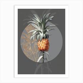 Vintage Botanical Pineapple on Circle Gray on Gray n.0276 Art Print