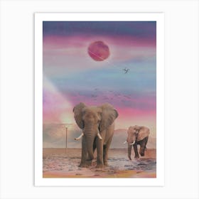 Elephant Sunset Art Print