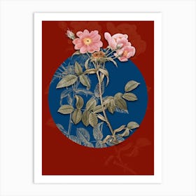 Vintage Botanical Lady Monson Rose Bloom on Circle Blue on Red n.0293 Art Print
