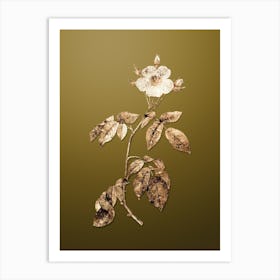 Gold Botanical Big Leaved Climbing Rose on Dune Yellow n.3541 Art Print