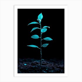 Small Green Plant On Black Background 30 Art Print