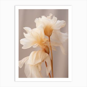 Boho Dried Flowers Daffodil 4 Art Print