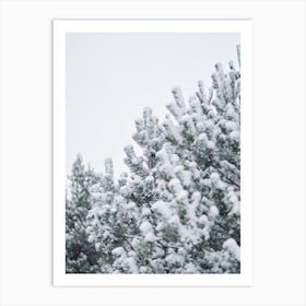 Snow Covered Tree Art Print