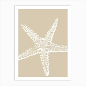 Starfish 24 Art Print