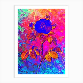 Rosa Alba Botanical in Acid Neon Pink Green and Blue Art Print