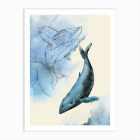 Humpback Whales Art Print