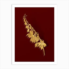 Vintage Giant Cabuya Botanical in Gold on Red n.0164 Art Print