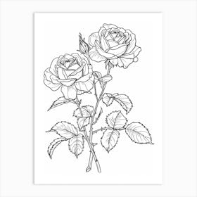 Roses Sketch 62 Art Print