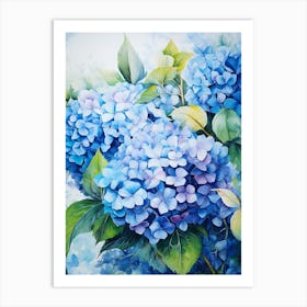 Blue Hydrangeas 13 Art Print