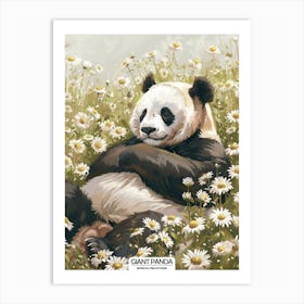 Giant Panda Resting In A Field Of Daisies Poster 7 Art Print