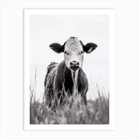 Black And White Cow Art Print