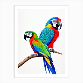 Macaw Watercolour Bird Art Print