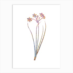 Stained Glass Rush Daffodil Mosaic Botanical Illustration on White n.0175 Art Print