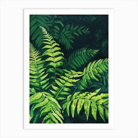 Ferns Art Print