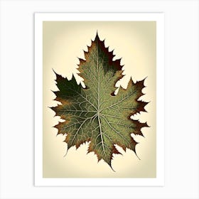 Maple Leaf Vintage Botanical 3 Art Print