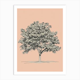 Pecan Tree Minimalistic Drawing 1 Art Print