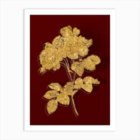 Vintage Pink Damask Rose Botanical in Gold on Red n.0227 Art Print