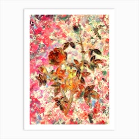 Impressionist Moss Rose Botanical Painting in Blush Pink and Gold n.0016 Art Print