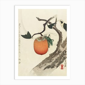 Khaki Fruit With Grasshopper, Katsushika Hokusai Art Print
