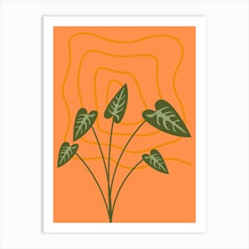 Plant On An Orange Background Póster