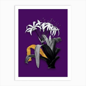 Vintage Crinum Erubescens Black and White Gold Leaf Floral Art on Deep Violet Art Print
