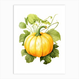 Buttercup Squash Pumpkin Watercolour Illustration 4 Art Print