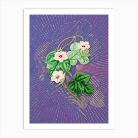 Vintage Aiton's Ipomoea Flower Botanical Illustration on Veri Peri n.0479 Art Print