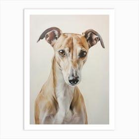 Greyhound Portrait Art Print