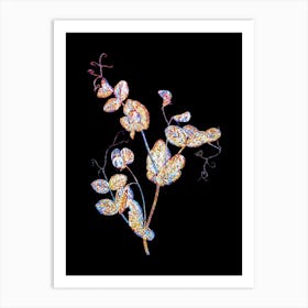 Stained Glass White Pea Flower Mosaic Botanical Illustration on Black n.0138 Art Print