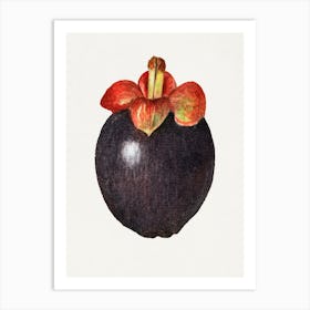 Guava Fruit 1 Art Print