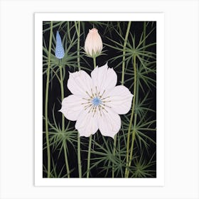 Flower Illustration Love In A Mist Nigella 6 Art Print