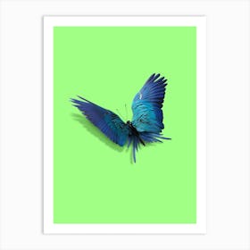 Parrot Butterfly Art Print