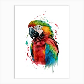 Colorful Parrot Art Print