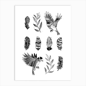 Feathers & Birds Art Print