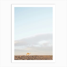 Camel In The Sun In The Desert Art Print