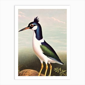 Lapwing James Audubon Vintage Style Bird Art Print