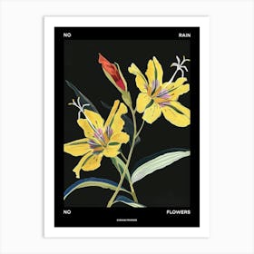 No Rain No Flowers Poster Evening Primrose 4 Art Print