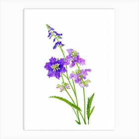 Delphinium 2 Watercolour Flower Art Print