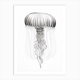 Box Jellyfish Drawing 4 Art Print