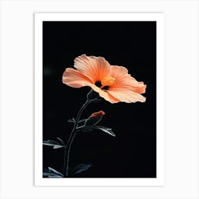 Hibiscus Flower 11 Art Print