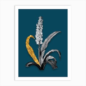 Vintage Eucomis Punctata Black and White Gold Leaf Floral Art on Teal Blue n.0619 Art Print