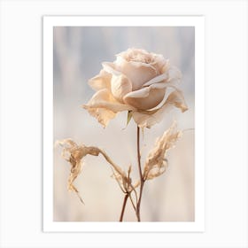 Boho Dried Flowers Rose 6 Art Print