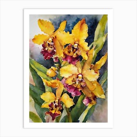 Oncidium Orchids Water Colour 2 Art Print