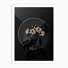 Shadowy Vintage Musk Rose Botanical on Black with Gold n.0159 Art Print