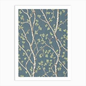 Gray Birch 2 tree Vintage Botanical Art Print