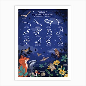 Zodiac Constellations And Nocturnal Animals Art Print