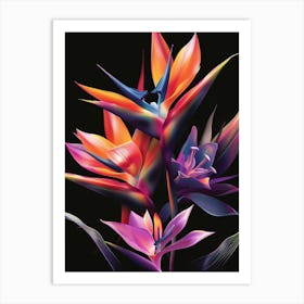 Bird Of Paradise 68 Art Print