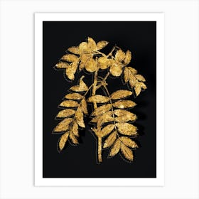 Vintage Service Tree Botanical in Gold on Black n.0567 Art Print