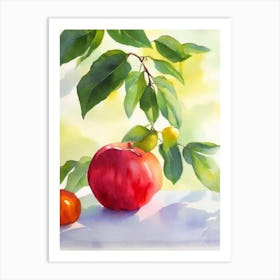 Star Apple Italian Watercolour fruit Art Print